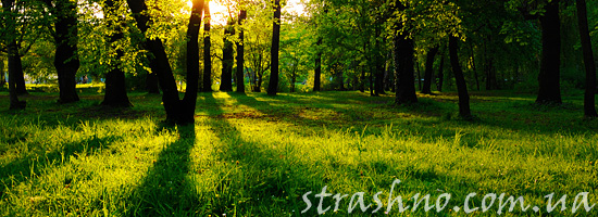 Мистика на лесной поляне