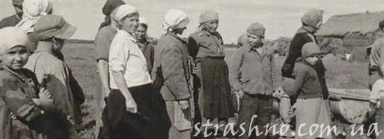 Воспоминания о немецкой оккупации