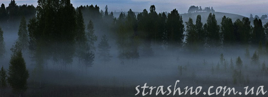 Туман на болоте