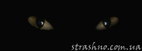 Жуткий взгляд из темноты