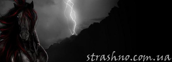 Страшилка про девушку-лошадь