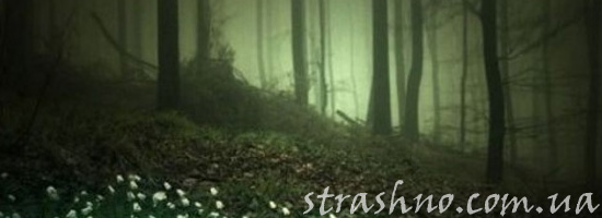 Жуткий лес