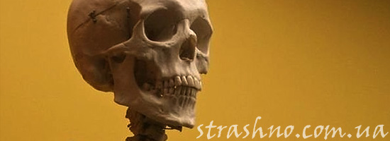 Перезахоронение странного скелета