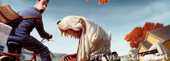 Как бороться с бездомными собаками