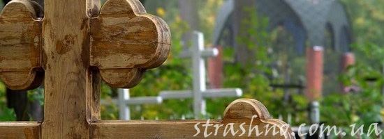 Рюмка водки на могиле покойного отца