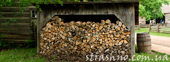 Вишни возле дровяного сарая