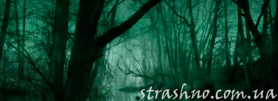 История про лешего и чертей в страшном лесу