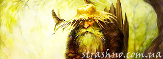 Странный человек из леса