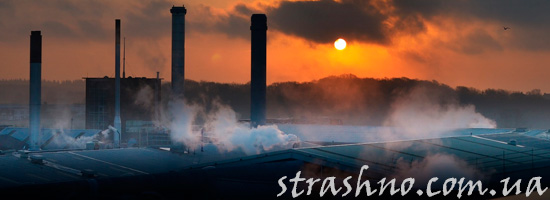 История про зверя на трубах