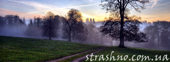 Туман на полигоне