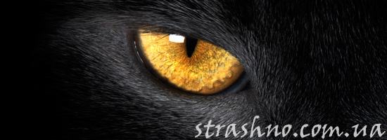Страшные жетые глаза