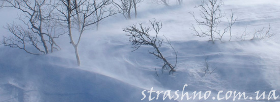 Духи в зимней метели