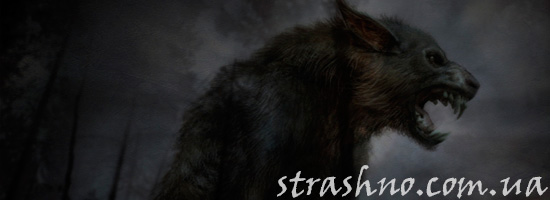 Жуткий волк-оборотень