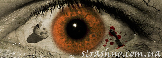 Предсказания