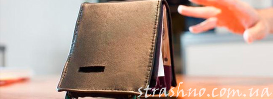 Бумажник с деньгами