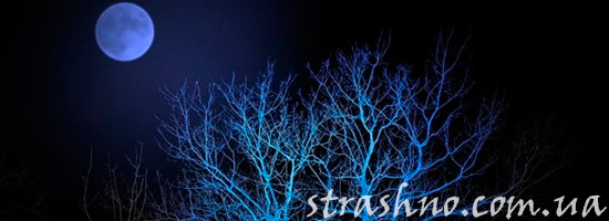 Жуткая ночная история