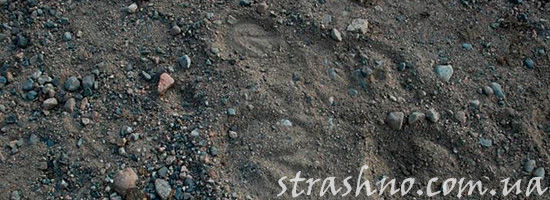 Следы копыт неизвестного существа