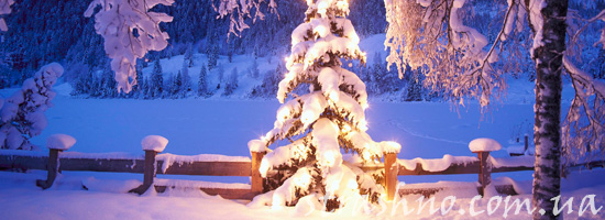 Новогодняя ёлка во дворе