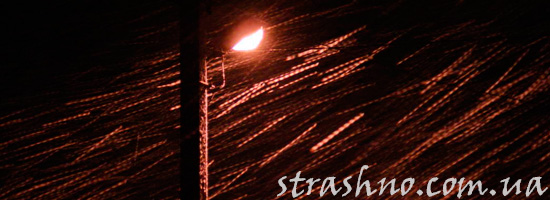 Жуткий гость под фонарем