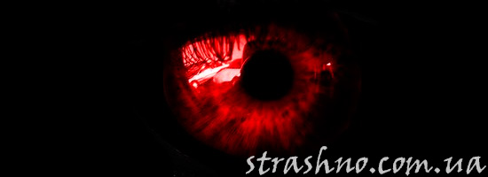 Взгляд из темноты