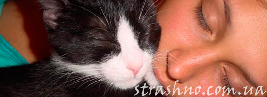 Кошка лечит