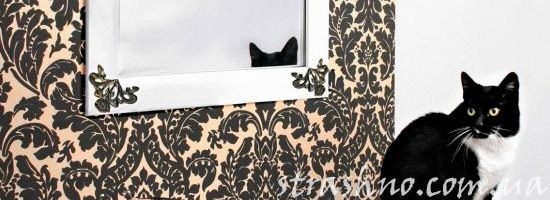 Кошка на трюмо с зеркалом