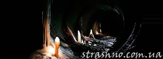 Дети в подвале