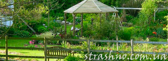 Цветущий сад