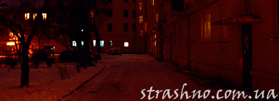 Странное существо между домами