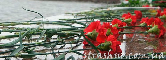 Гвоздики на кладбище