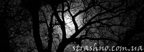 Странная ночь и страшный голос