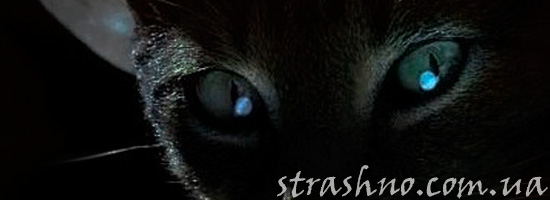 Страхи девушки