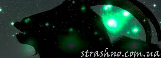 Черная коза