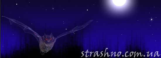 мистика летучая мышь