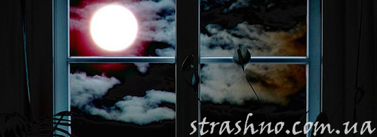 Луна светит в окно