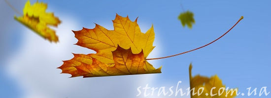 Осенний  кленовый лист