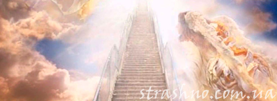 Рай из воспоминаний потерявшей сознание девочки