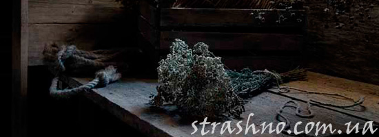 Травяной сбор от головной боли