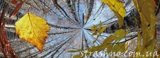 ветер листья