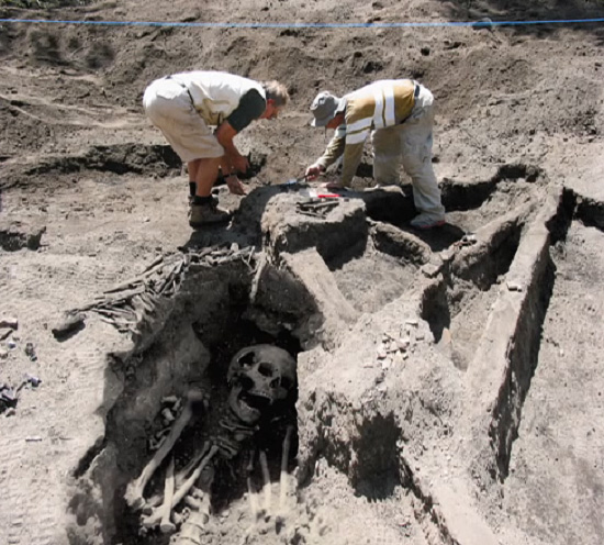 скелет гиганта