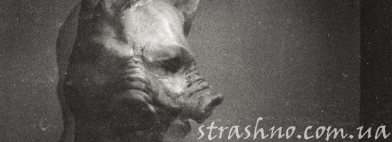 мистическая голова кабана