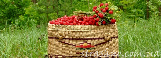 мистика лесные ягоды