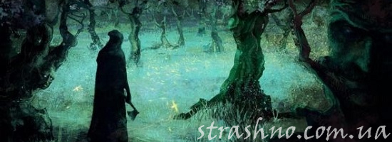 колдун в лесу