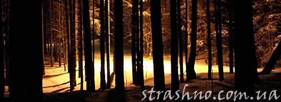 Жуткий лес