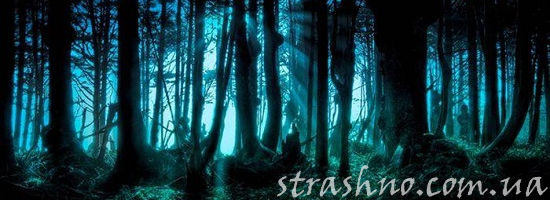 мистика леший