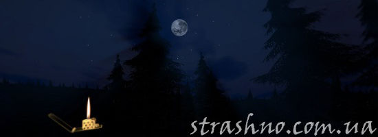 зажигалка в ночном лесу