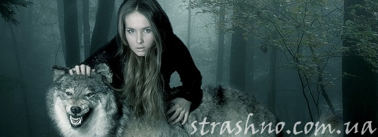 мистика волк