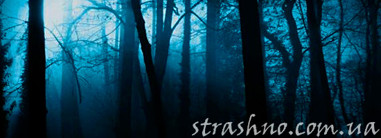 Танцующие вязы