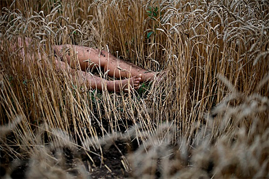 Фото сбитого малазийского Боинга 777