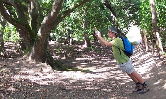 чёртово местечко